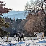 Naturblick - Modernes 3-zimmer Mit Privatparkplatz *