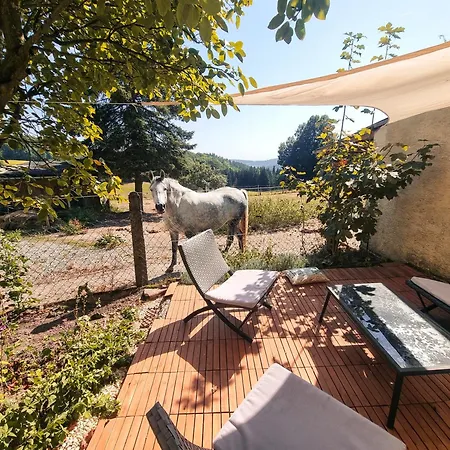 Naturblick - Modernes 3-zimmer Mit Privatparkplatz