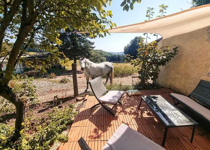 Naturblick - Modernes 3-zimmer Mit Privatparkplatz