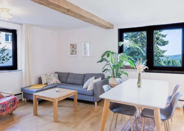 Naturblick - Modernes 3-zimmer Mit Privatparkplatz Neustadt bei Coburg